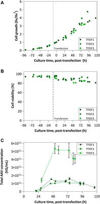 AAV process intensification by perfusion bioreaction and integrated clarification